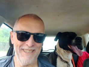 Foto de Transpet - Taxi Dog em Jundiaí, SP por Solutudo