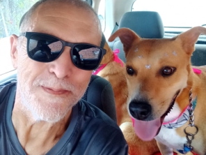 Foto de Transpet - Taxi Dog em Jundiaí, SP por Solutudo