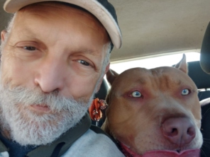 Foto de Transpet - Taxi Dog em Jundiaí, SP por Solutudo