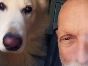 Foto de Transpet - Taxi Dog em Jundiaí, SP por Solutudo