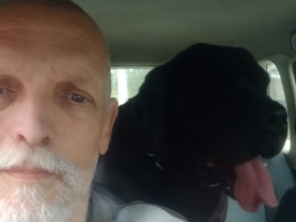 Foto de Transpet - Taxi Dog em Jundiaí, SP por Solutudo