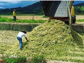 Foto de Indiaçú Agro Soluções em Goiânia, GO por Solutudo