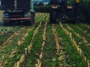 Foto de Indiaçú Agro Soluções em Goiânia, GO por Solutudo