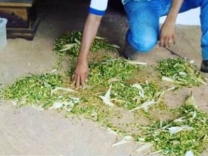 Foto de Indiaçú Agro Soluções em Goiânia, GO por Solutudo