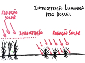 Foto de Indiaçú Agro Soluções em Goiânia, GO por Solutudo