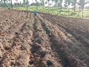 Foto de Indiaçú Agro Soluções em Goiânia, GO por Solutudo