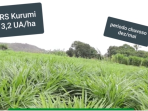 Foto de Indiaçú Agro Soluções em Goiânia, GO por Solutudo