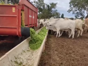 Foto de Indiaçú Agro Soluções em Goiânia, GO por Solutudo