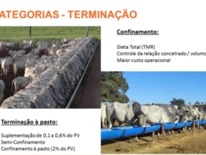 Foto de Indiaçú Agro Soluções em Goiânia, GO por Solutudo
