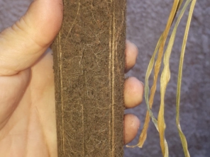 Foto de Indiaçú Agro Soluções em Goiânia, GO por Solutudo