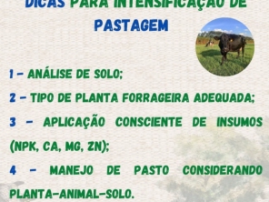 Foto de Indiaçú Agro Soluções em Goiânia, GO por Solutudo