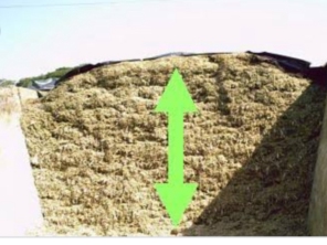 Foto de Indiaçú Agro Soluções em Goiânia, GO por Solutudo