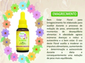 Foto de Bem Estar Florais em Porto Alegre, RS por Solutudo