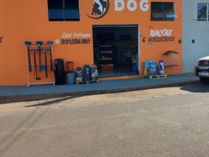Foto de AgroDog em São Manuel, SP por Solutudo
