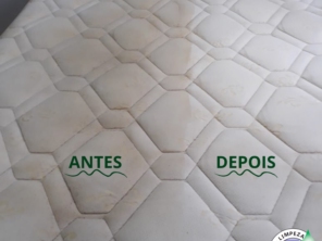 Foto de Natureza & Limpeza em São Paulo, SP por Solutudo