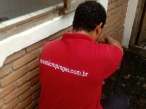 Foto de Micropragas Dedetizadora em São Paulo, SP por Solutudo