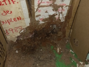 Foto de Micropragas Dedetizadora em São Paulo, SP por Solutudo