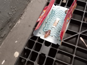 Foto galeria da empresa