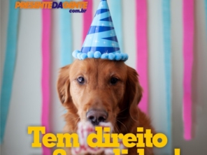 Foto de Presente da Gente em Bauru, SP por Solutudo