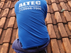Foto de ALTEC - Dedetizadora e desentupidora em Santo André, SP por Solutudo