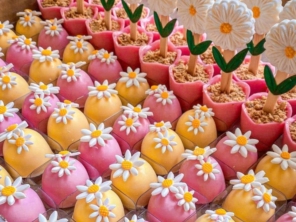 Foto galeria da empresa