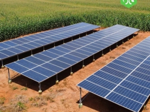 Foto de EcoPower Energia Solar Sinop em Sinop, MT por Solutudo
