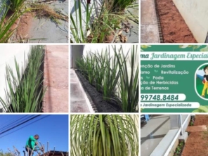 Foto galeria da empresa