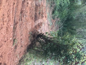 Foto de Ney Terraplenagem em Araçariguama, SP por Solutudo