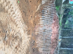 Foto de Ney Terraplenagem em Araçariguama, SP por Solutudo