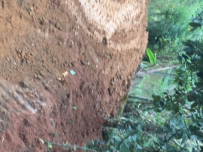 Foto de Ney Terraplenagem em Araçariguama, SP por Solutudo