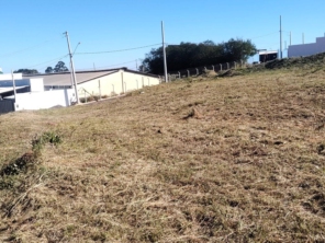 Foto de Jean Jardineiro - Roçagem de terreno em Botucatu, SP por Solutudo