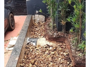 Foto de Jean Jardineiro - Roçagem de terreno em Botucatu, SP por Solutudo