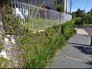 Foto de Jean Jardineiro - Roçagem de terreno em Botucatu, SP por Solutudo