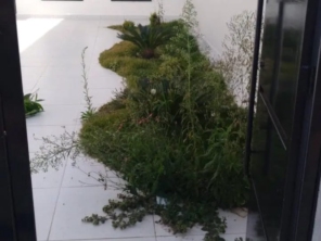 Foto de Jean Jardineiro - Roçagem de terreno em Botucatu, SP por Solutudo
