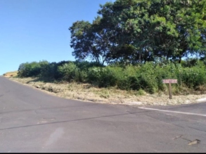 Foto de Jean Jardineiro - Roçagem de terreno em Botucatu, SP por Solutudo