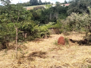 Foto de Jean Jardineiro - Roçagem de terreno em Botucatu, SP por Solutudo
