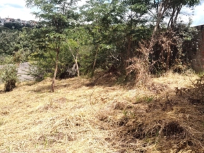 Foto de Jean Jardineiro - Roçagem de terreno em Botucatu, SP por Solutudo