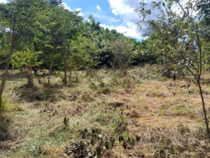 Foto de Jean Jardineiro - Roçagem de terreno em Botucatu, SP por Solutudo