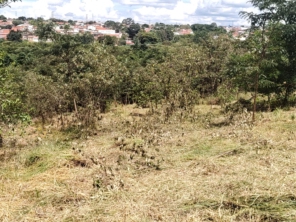 Foto de Jean Jardineiro - Roçagem de terreno em Botucatu, SP por Solutudo
