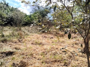 Foto de Jean Jardineiro - Roçagem de terreno em Botucatu, SP por Solutudo