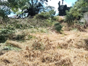 Foto de Jean Jardineiro - Roçagem de terreno em Botucatu, SP por Solutudo