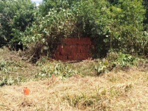 Foto de Jean Jardineiro - Roçagem de terreno em Botucatu, SP por Solutudo