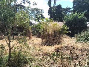 Foto de Jean Jardineiro - Roçagem de terreno em Botucatu, SP por Solutudo