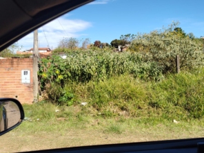 Foto de Jean Jardineiro - Roçagem de terreno em Botucatu, SP por Solutudo