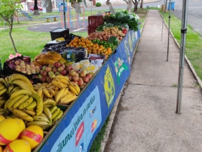 Foto de Quitanda e distribuidora ELO em Botucatu, SP por Solutudo