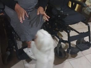 Foto de Oficina Mãos de Anjos em São José dos Campos, SP por Solutudo