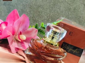 Foto de Yasu Cosméticos e Perfumaria em Cotia, SP por Solutudo