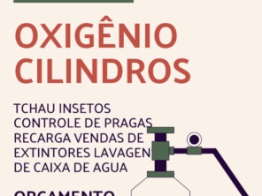 Foto de Chau Insetos Controle de Pragas em Porto Seguro, BA por Solutudo