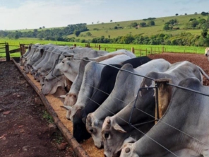 Foto de Nutri Oz em São Pedro do Turvo, SP por Solutudo