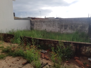 Foto de Aguiar Jardinagem Paisagismo e Grama em Botucatu, SP por Solutudo